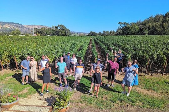 Small-Group Wine-Tasting Tour of Napa-via San Francisco Ferry