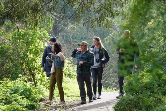 Private Exploration of the Birds of San Francisco