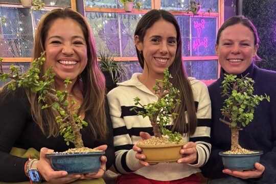 Bonsai Art Class Activity from San Francisco