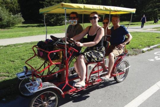 San Francisco: Scenic Surrey Ride Through Golden Gate Park